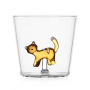 Tabby Cat