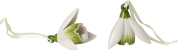 Villeroy & Boch Pasen Mini Flower Bells Porseleinen Hanger Sneeuwklokje - set van 2