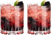 Riedel Bar DSG Double Rocks Glass kristal -  set van 2