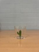 Ichendorf Milano Desert Plants Waterglas Cactus 350 ml – groen 